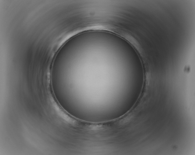 X0000111041428200906251350
