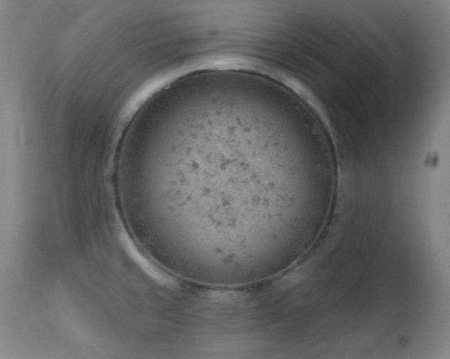 X0000111041429200906251350