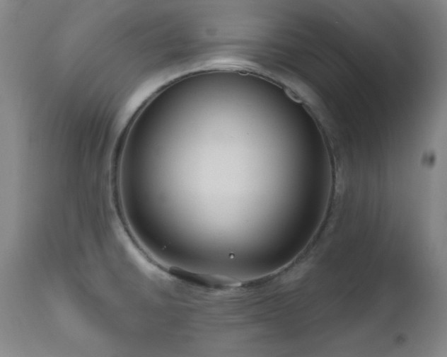 X0000111041430200906251350