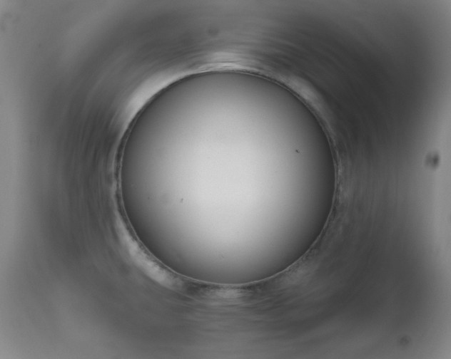 X0000111041431200906251351