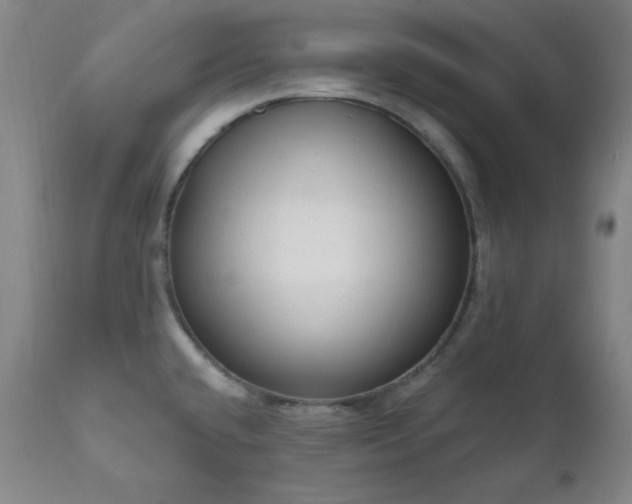 X0000111041432200906251351