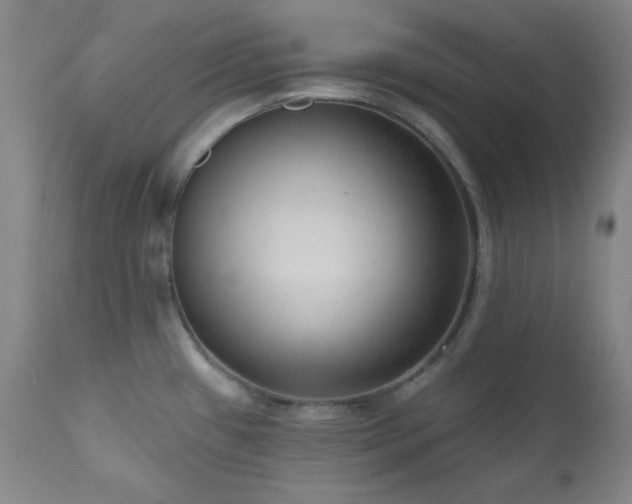 X0000111041433200906251351