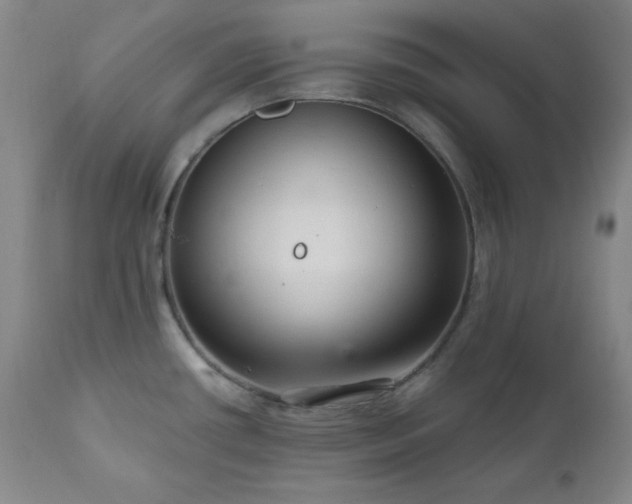 X0000111041434200906251351