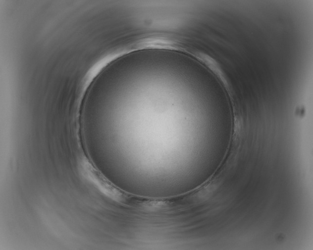 X0000111041435200906251351