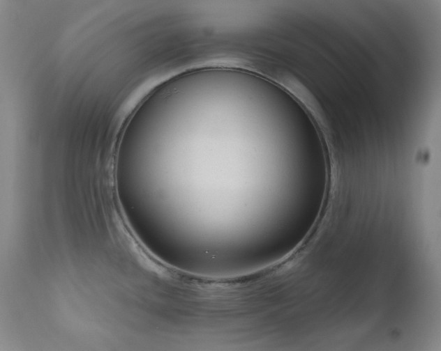 X0000111041436200906251351