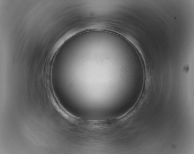 X0000111041437200906251351