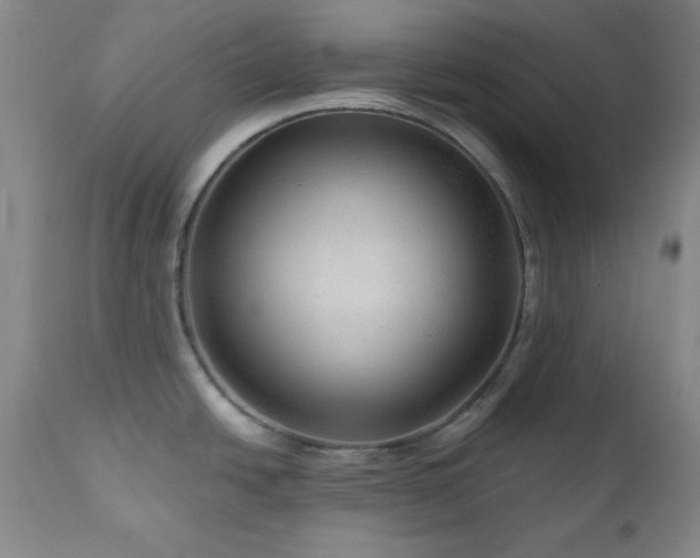 X0000111041438200906251351