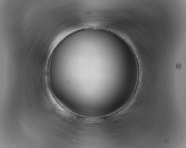 X0000111041440200906251351