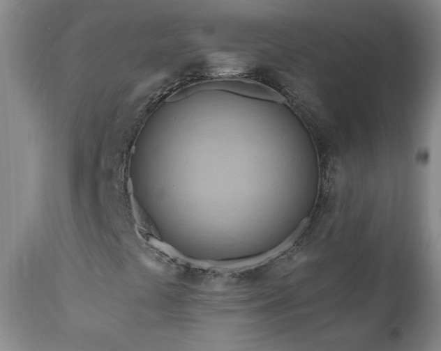X0000111041441200906251350
