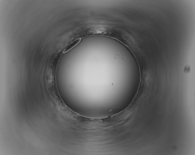 X0000111041442200906251350