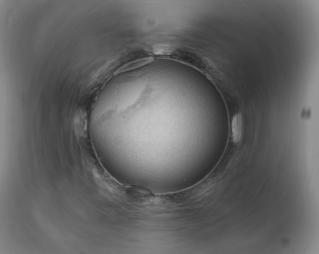 X0000111041443200906251350