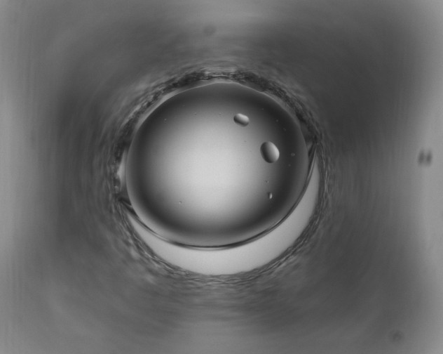 X0000111041445200906251350