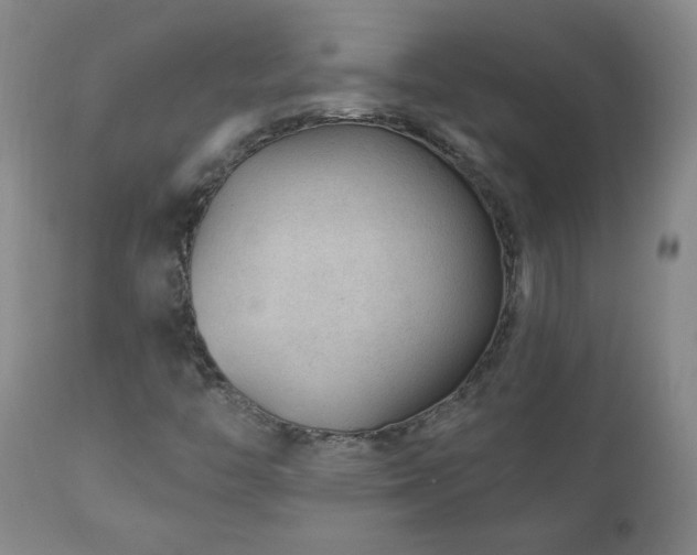 X0000111041446200906251350