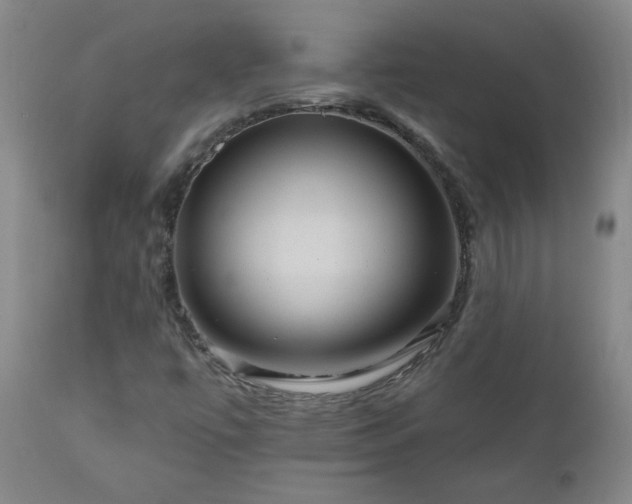 X0000111041447200906251350
