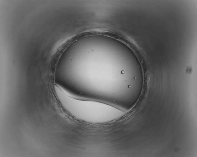 X0000111041448200906251350