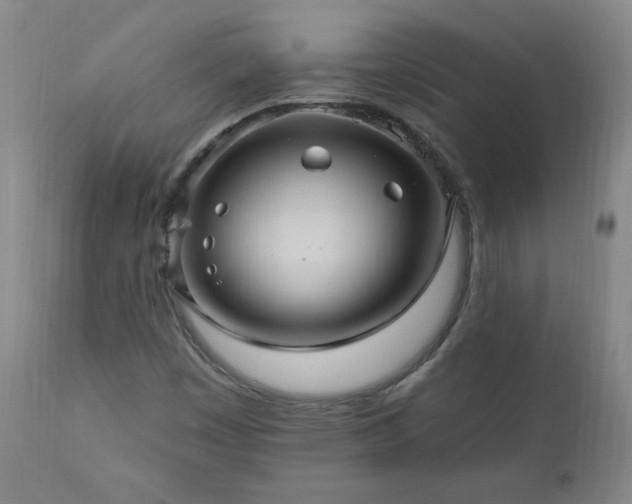 X0000111041449200906251350