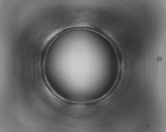 X0000111041452200906251350