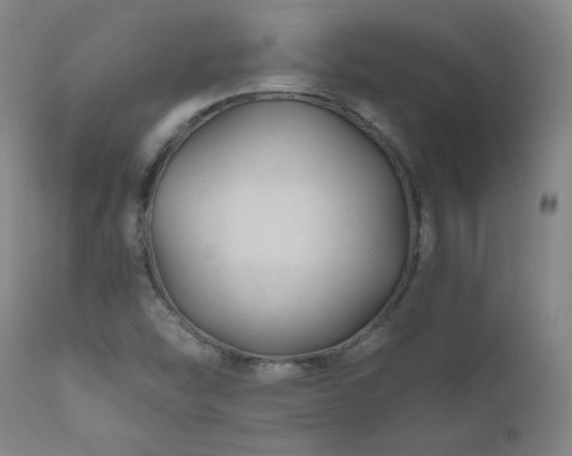 X0000111041454200906251350