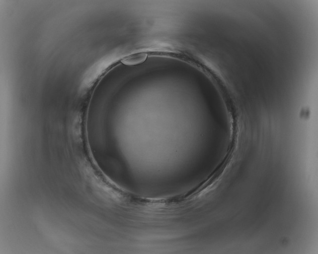 X0000111041455200906251350