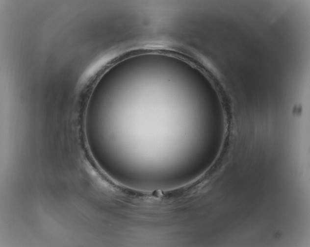 X0000111041456200906251350