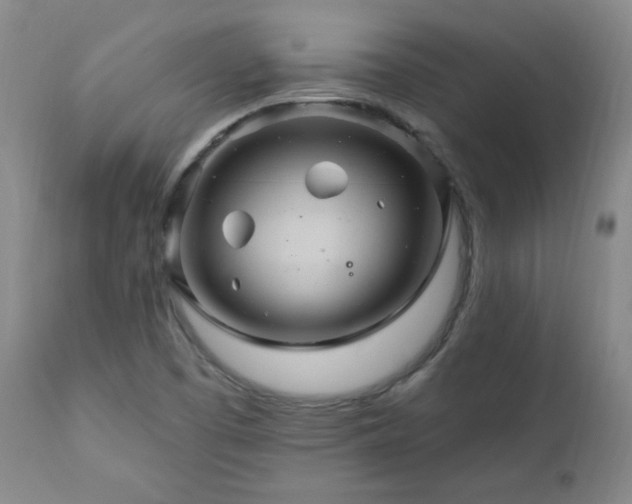 X0000111041457200906251350