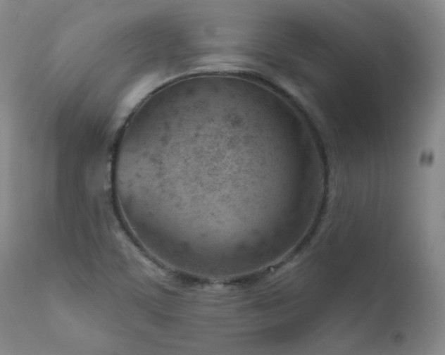 X0000111041459200906251350