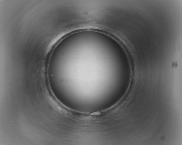 X0000111041460200906251350
