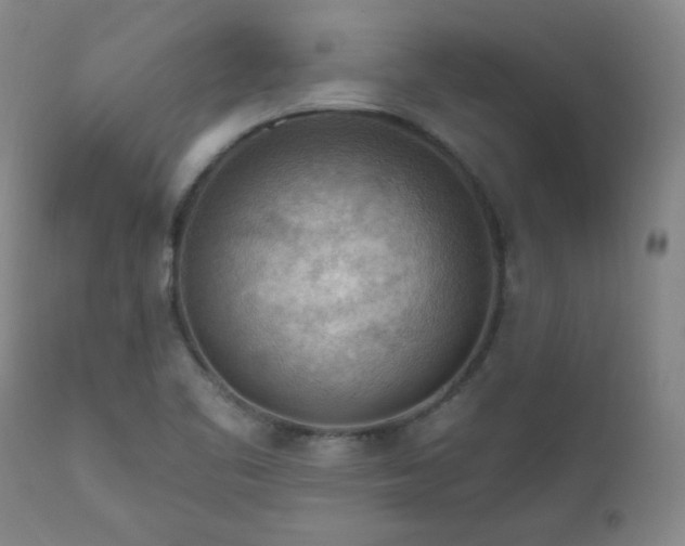 X0000111041461200906251350