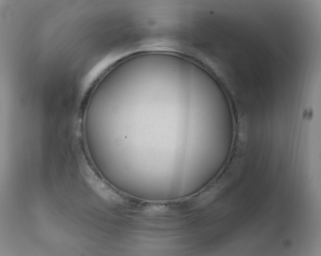 X0000111041462200906251350