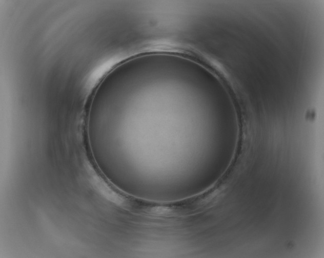 X0000111041463200906251350