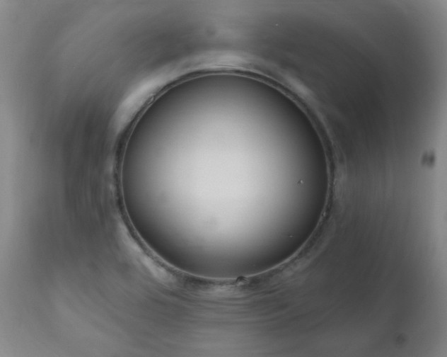 X0000111041464200906251350