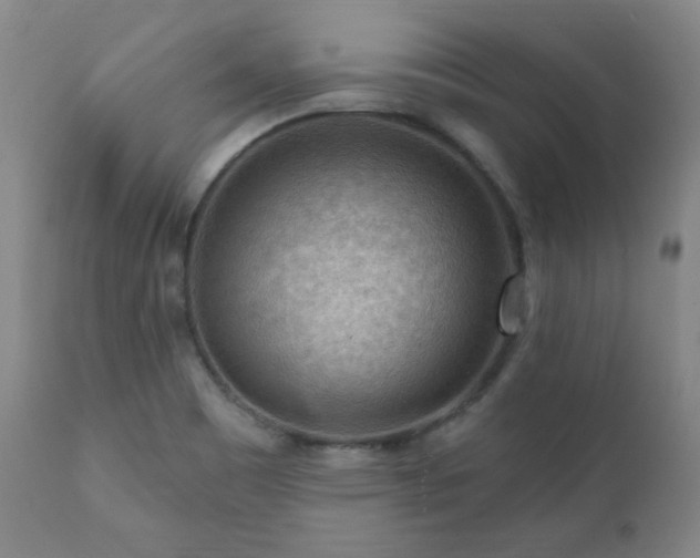 X0000111041465200906251350