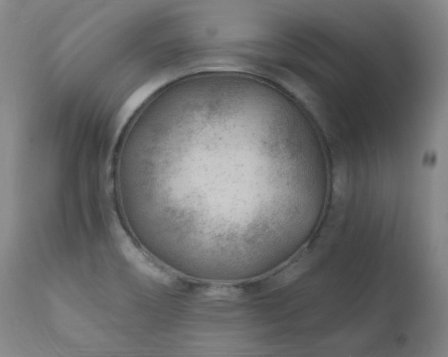 X0000111041466200906251350