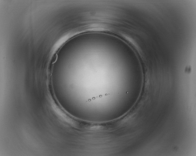 X0000111041467200906251350
