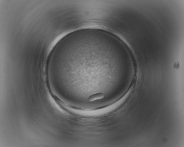 X0000111041468200906251350