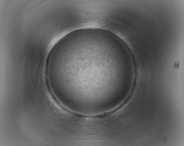 X0000111041469200906251350