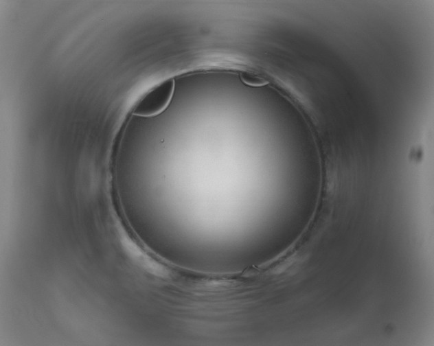 X0000111041471200906251349