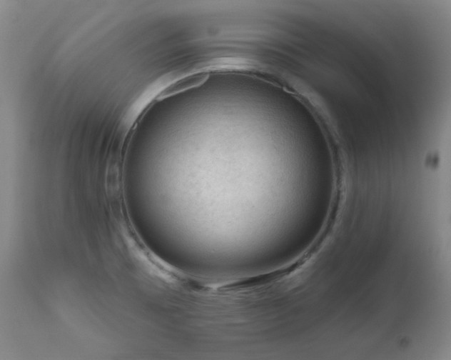 X0000111041473200906251349