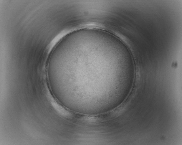 X0000111041474200906251349