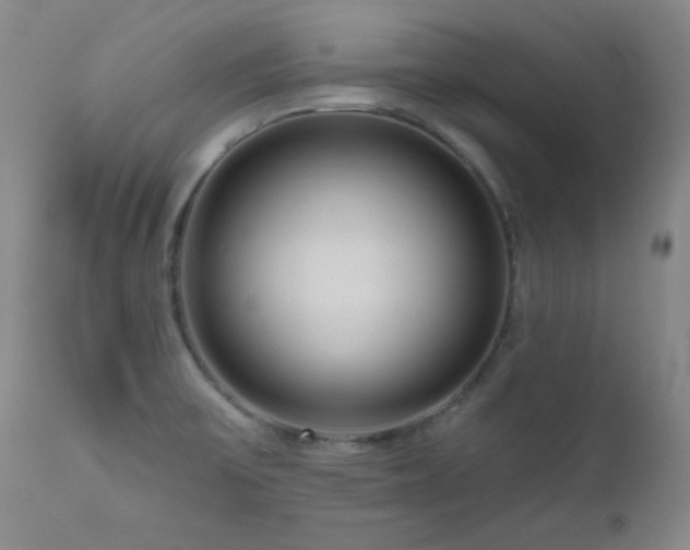 X0000111041475200906251349