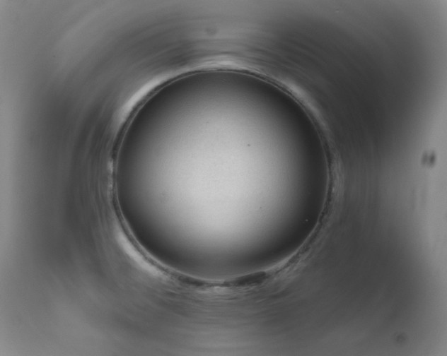 X0000111041476200906251349