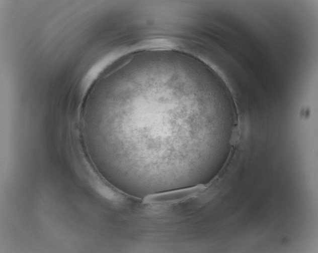 X0000111041477200906251349