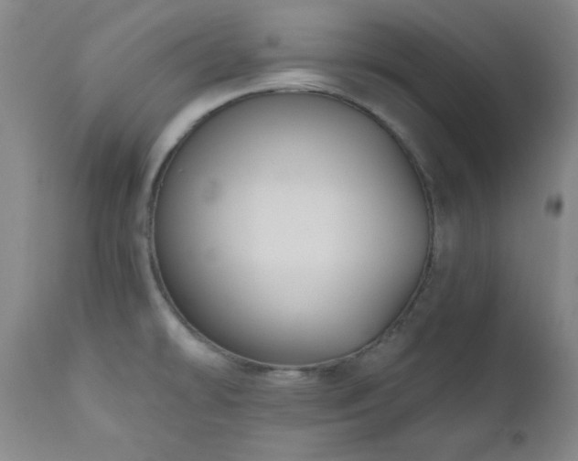X0000111041478200906251349