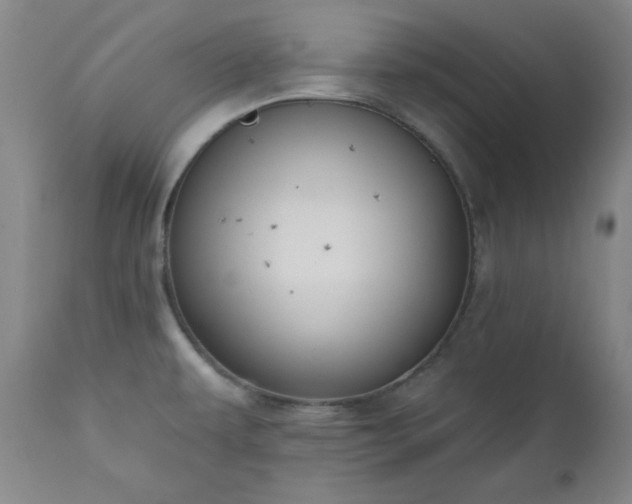 X0000111041479200906251349