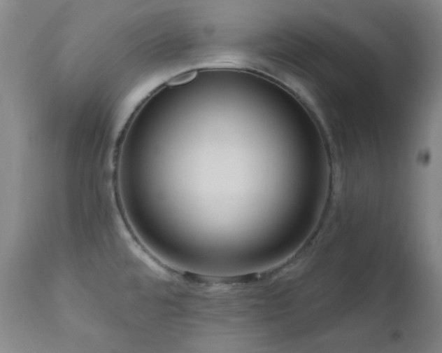 X0000111041480200906251349