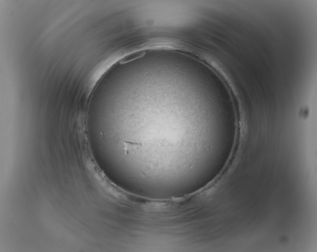 X0000111041481200906251349