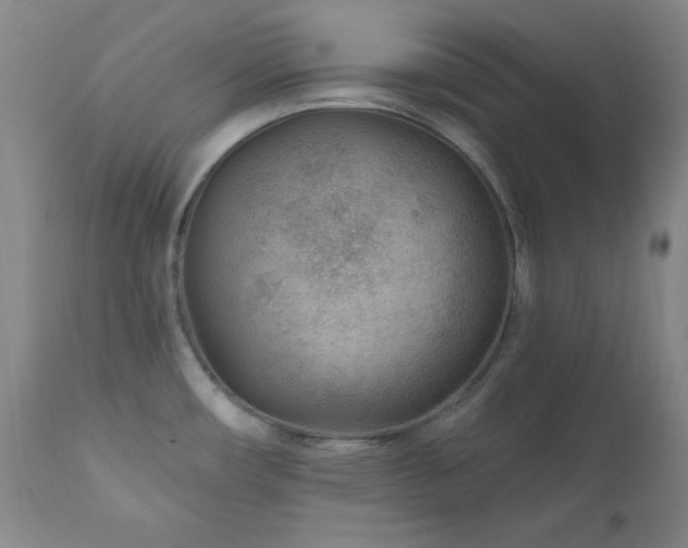 X0000111041482200906251349
