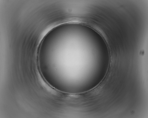 X0000111041483200906251349