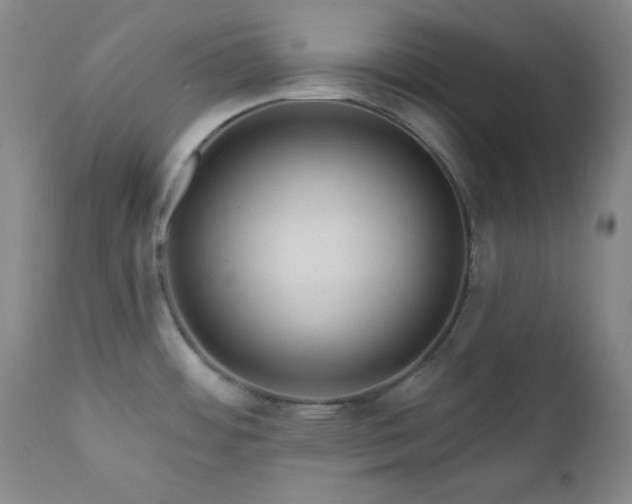 X0000111041484200906251349