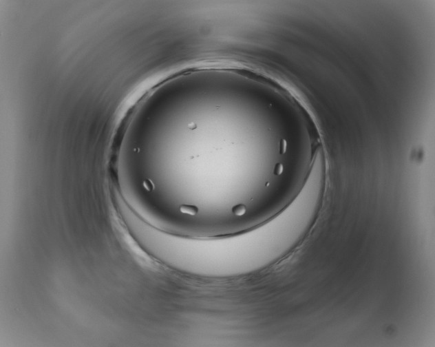 X0000111041485200906251349